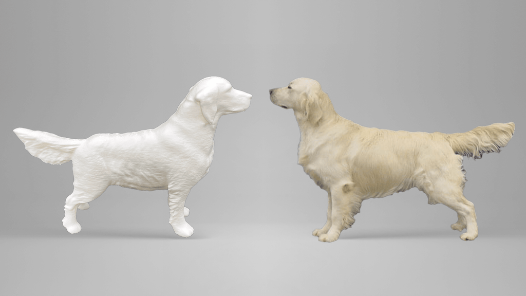 Unieke 3D-geprinte Golden Retriever in Showstand – Gepersonaliseerd