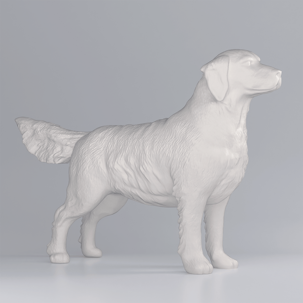 3D - geprinte Golden Retriever in Showstand - 3dbende