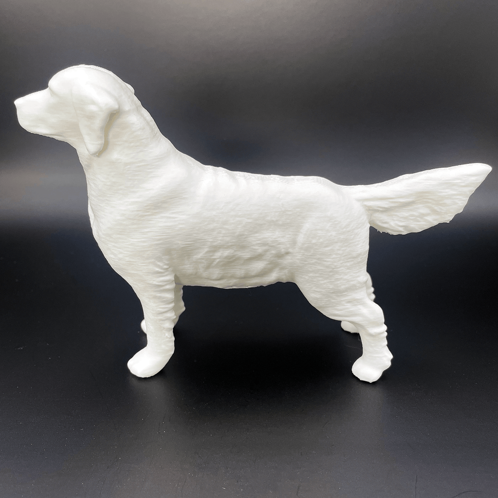 3D - geprinte Golden Retriever in Showstand - 3dbende