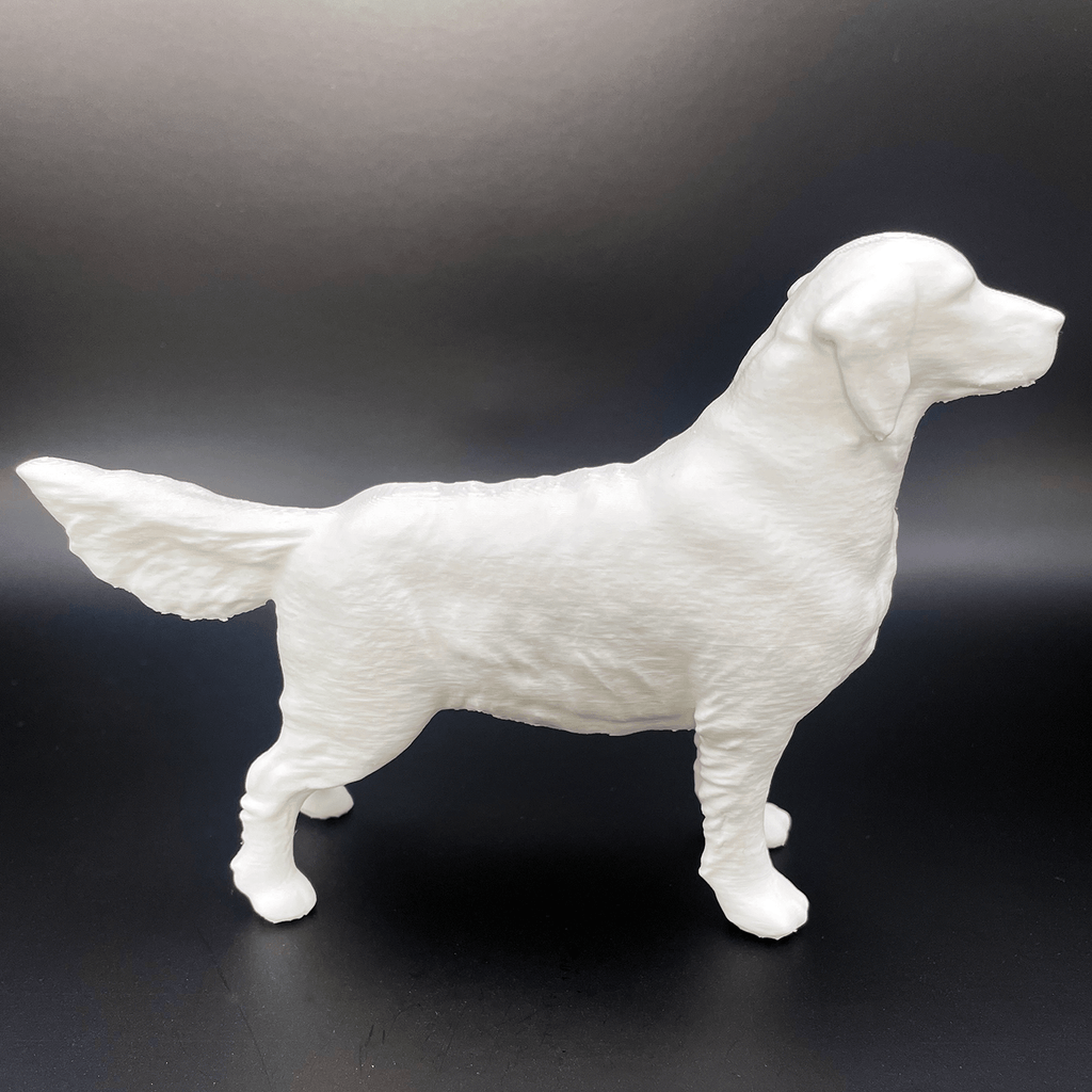 3D - geprinte Golden Retriever in Showstand - 3dbende