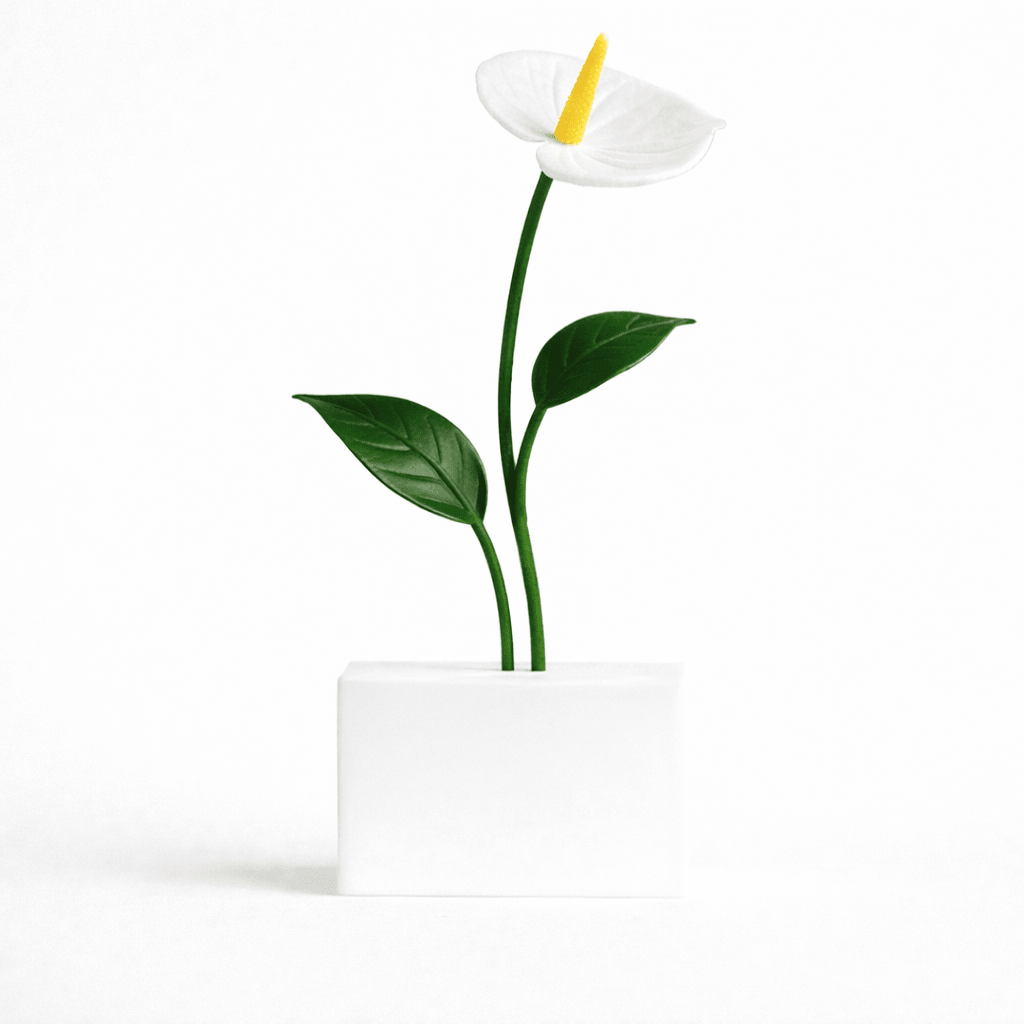 Custom Anthurium - 3dbende
