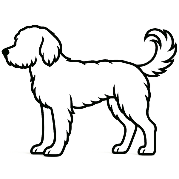 Labradoodle Decoratie – Liefde in Lijnvorm - 3dbende