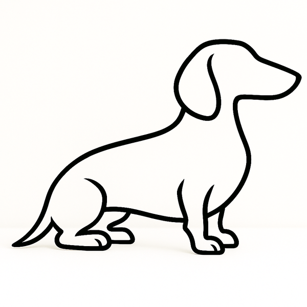 Teckel Decoratie - Hondenliefhebbers Cadeau - 3dbende