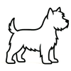West Highland White Terrier (Westie) decoratie - 3dbende
